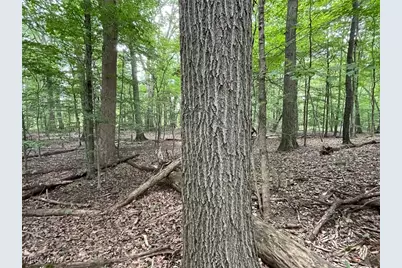 2260 Broadway Avenue NE, East Canton, OH 44730 - Photo 49