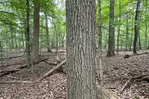 2260 Broadway Ave NE, East Canton, OH 44730 - Photo 49