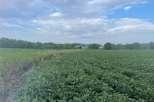 2260 Broadway Ave NE, East Canton, OH 44730 - Photo 47