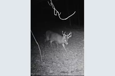 29752 Miltonsburg Calais Road, Quaker City, OH 43773 - Photo 45