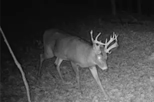 29752 Miltonsburg-Calais Rd, Quaker City, OH 43773 - Photo 45