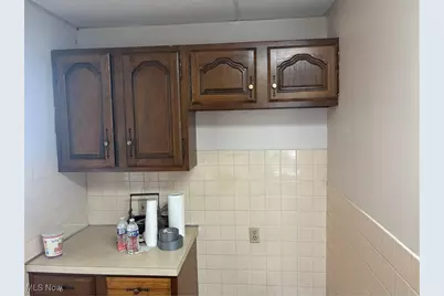 577 Rhodes Avenue, Akron, OH 44307 - Photo 9