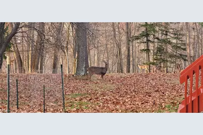 22601 Harms Road, Loveland, OH 44143 - Photo 37