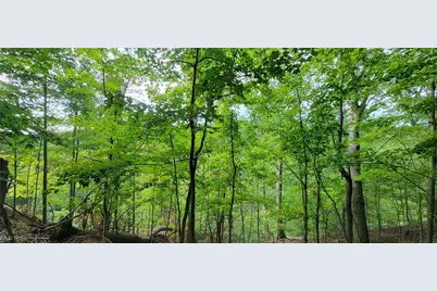 22601 Harms Road, Loveland, OH 44143 - Photo 17