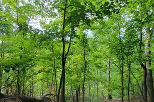 22601 Harms Rd, Loveland, OH 44143 - Photo 17