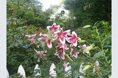 3431 Enfield Avenue NW, Canton, OH 44708 - Photo 31