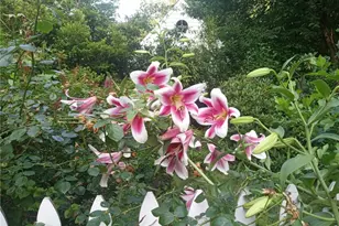 3431 Enfield Ave NW, Canton, OH 44708 - Photo 31