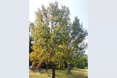 61900 Fairview Road, Barnesville, OH 43713 - Photo 33