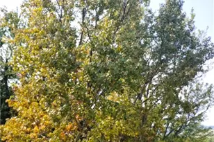 61900 Fairview Rd, Barnesville, OH 43713 - Photo 33