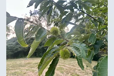 200 Frakes Road, Lower Salem, OH 45745 - Photo 23