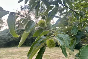 200 Frakes Rd, Lower Salem, OH 45745 - Photo 23