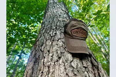 200 Frakes Road, Lower Salem, OH 45745 - Photo 15