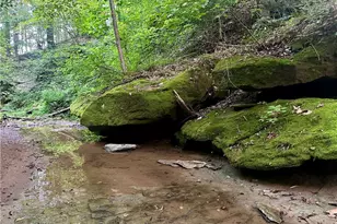 200 Frakes Rd, Lower Salem, OH 45745 - Photo 37