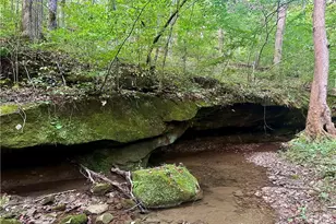 200 Frakes Rd, Lower Salem, OH 45745 - Photo 39