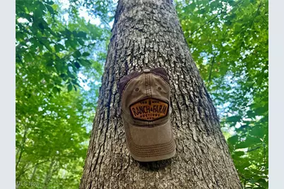 200 Frakes Road, Lower Salem, OH 45745 - Photo 27