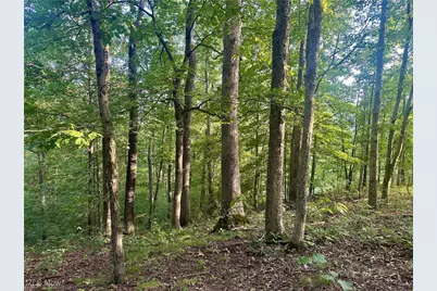 200 Frakes Road, Lower Salem, OH 45745 - Photo 19