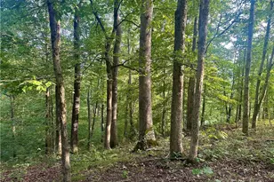 200 Frakes Rd, Lower Salem, OH 45745 - Photo 19