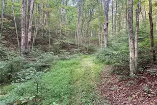 200 Frakes Rd, Lower Salem, OH 45745 - Photo 13