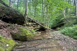 200 Frakes Rd, Lower Salem, OH 45745 - Photo 35