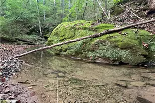 200 Frakes Rd, Lower Salem, OH 45745 - Photo 31