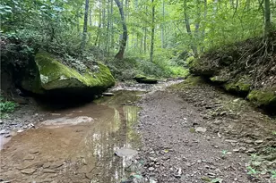 200 Frakes Rd, Lower Salem, OH 45745 - Photo 33