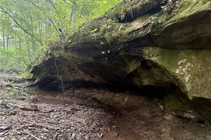 200 Frakes Rd, Lower Salem, OH 45745 - Photo 29