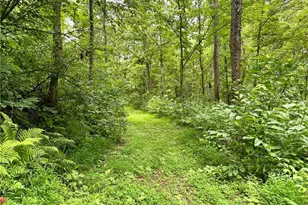 325 N Fork Rd, New Matamoras, OH 45767 - Photo 25