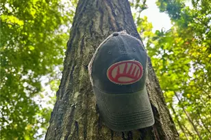 325 N Fork Rd, New Matamoras, OH 45767 - Photo 13