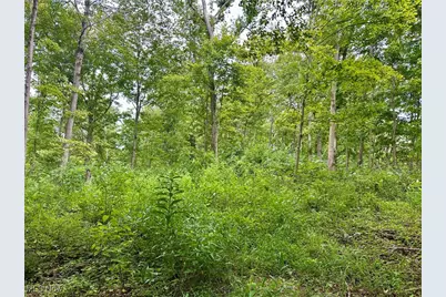 325 N Fork Road, New Matamoras, OH 45767 - Photo 23