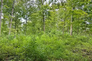 325 N Fork Rd, New Matamoras, OH 45767 - Photo 23