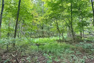 325 N Fork Rd, New Matamoras, OH 45767 - Photo 21