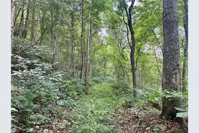 325 N Fork Road, New Matamoras, OH 45767 - Photo 11