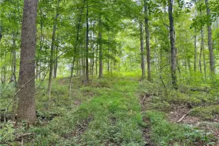325 N Fork Rd, New Matamoras, OH 45767 - Photo 19
