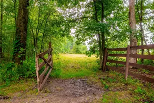 327 Township Rd 350, Sullivan, OH 44880 - Photo 45