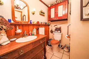 327 Township Rd 350, Sullivan, OH 44880 - Photo 27