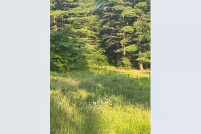 11065 Chillicothe Road, Kirtland, OH 44094 - Photo 13