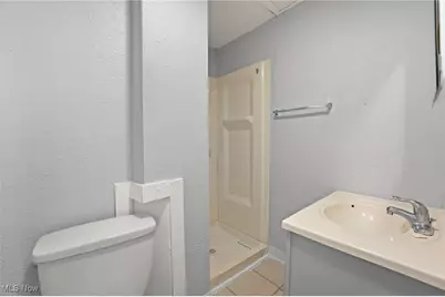 1563 W 102nd Street, Loveland, OH 44102 - Photo 19