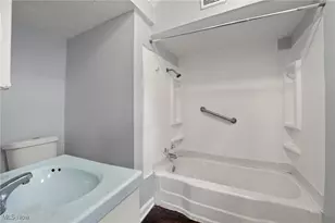 1563 W 102nd St, Loveland, OH 44102 - Photo 17