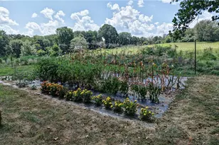 91240 Kilgore Ridge Rd, Scio, OH 43988 - Photo 9