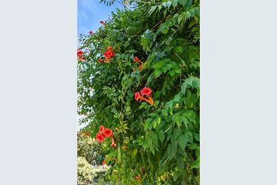 3158 Narrows Road, Perry, OH 44081 - Photo 17