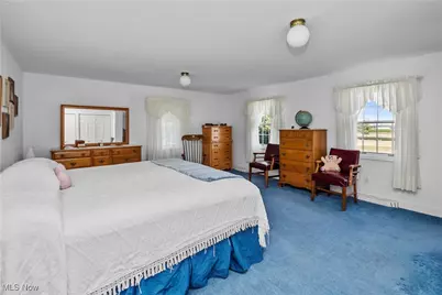 3158 Narrows Road, Perry, OH 44081 - Photo 29