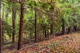 990 Westport Dr, Youngstown, OH 44511 - Photo 23