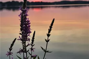 1376 Catherine Extension Ave, Lakemore, OH 44250 - Photo 27