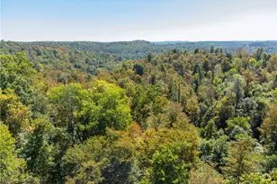 34561 Sunshine Rd, Piedmont, OH 43983 - Photo 15