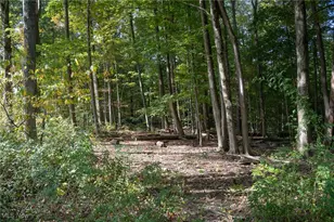 8145 Chagrin Rd, Chagrin Falls, OH 44023 - Photo 37