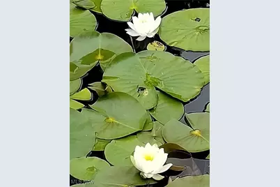 43311 Peck Wadsworth Road, Wellington, OH 44090 - Photo 17