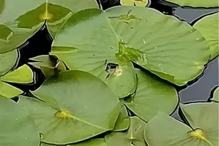 43311 Peck Wadsworth Rd, Wellington, OH 44090 - Photo 17