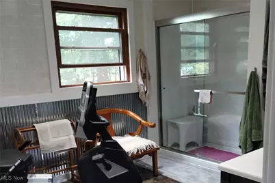 43311 Peck Wadsworth Road, Wellington, OH 44090 - Photo 5