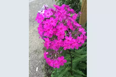 88 W Washington Street, Painesville, OH 44077 - Photo 41