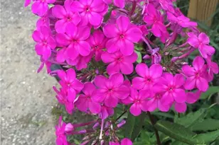 88 W Washington St, Painesville, OH 44077 - Photo 41